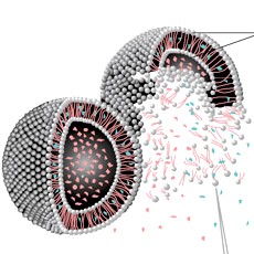 Technologie nanokapslí - systém pronikání do kůže