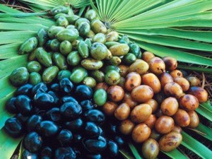 Saw palmetto chrání prostatu a navíc působí proti vypadávání vlasů